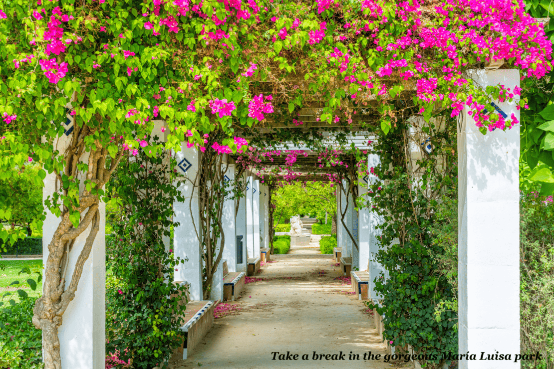 Flowers line an archway in Maria Luisa park Seville, Spain 