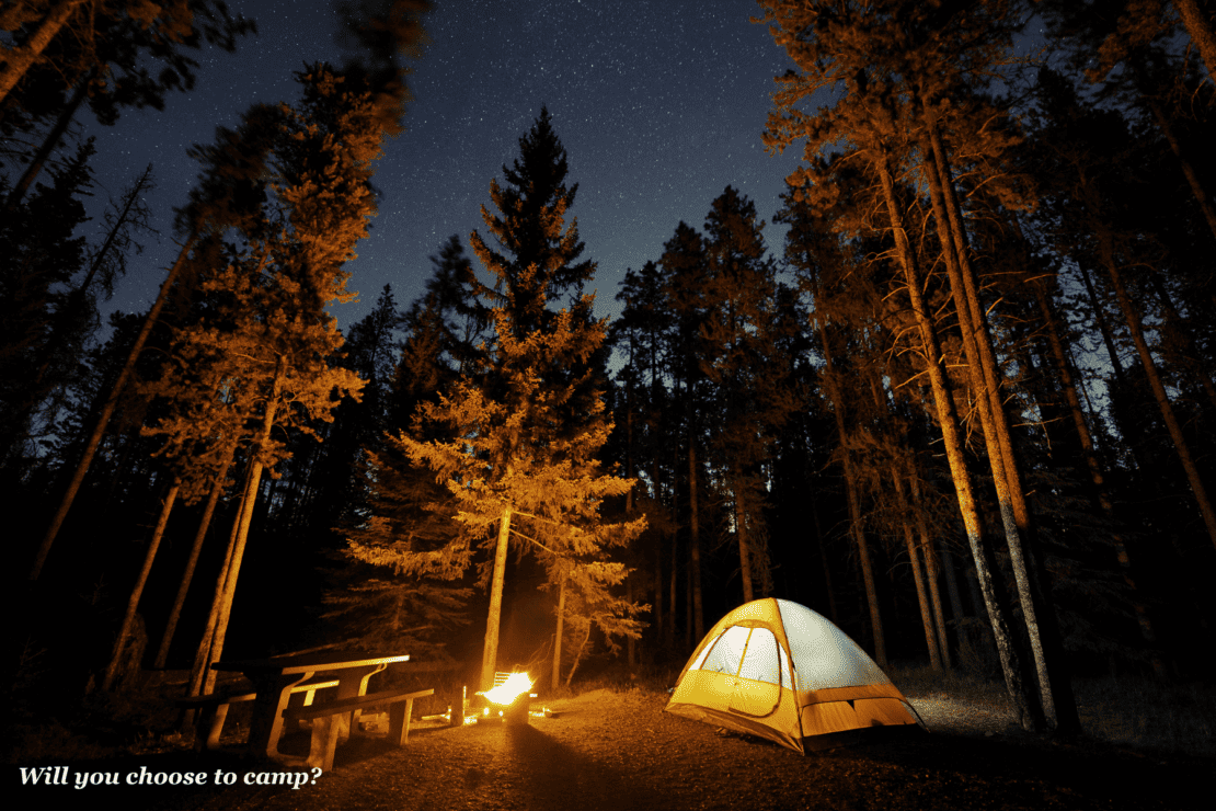 Camping under the stars in the forest 