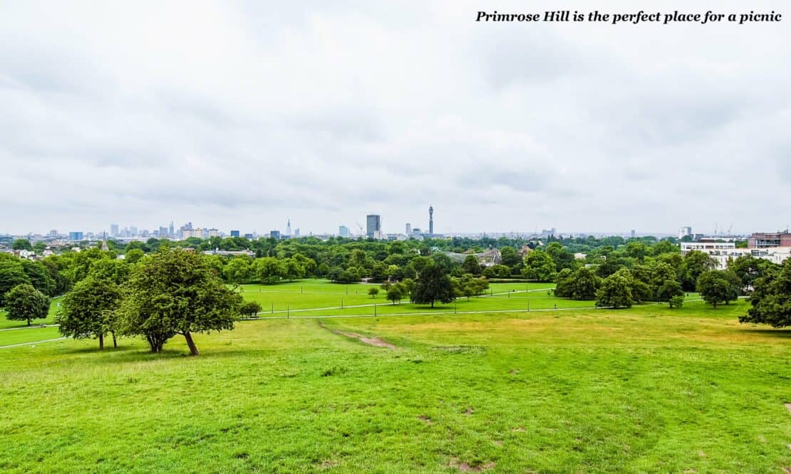 View of London skyline from Primrose Hill 