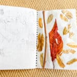 Nature collage in a kids travel journal