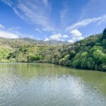 Landscape view of the Douro Valley