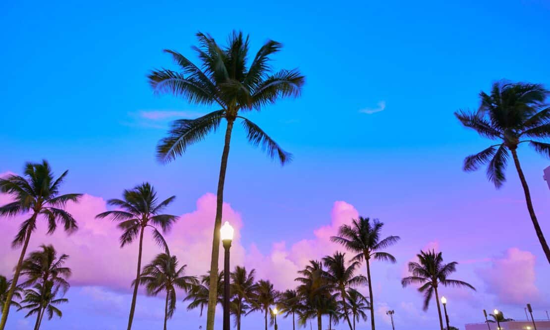 What Is Miami Famous For?