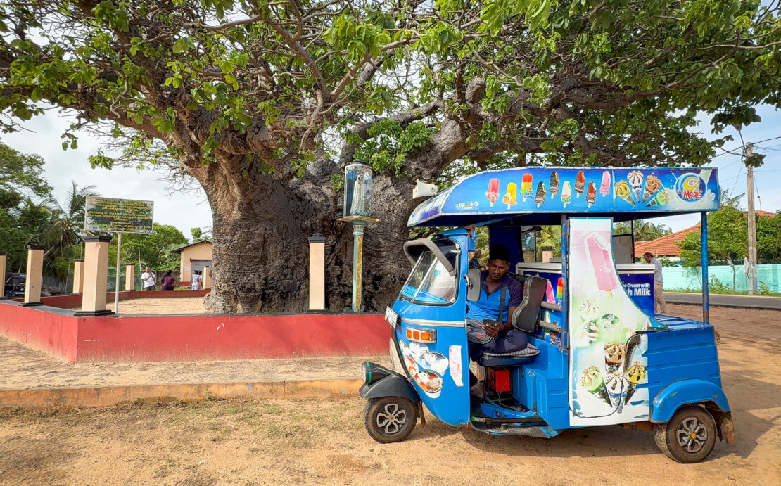 Tuk-tuk selling ice-cream outside the xAli Gaha Baobab tree in Jaffna, Sri Lanka - things to do in Jaffna