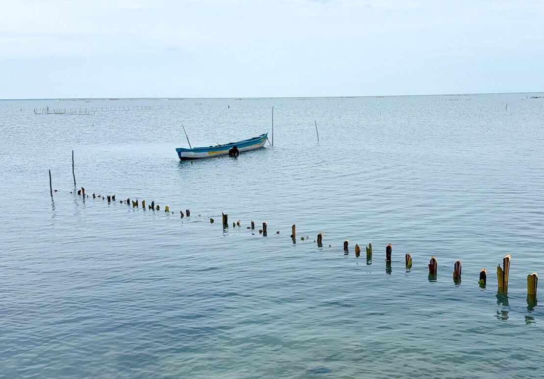 Boat moored in the sea near Jaffna, Sri Lanka - things to do in Jaffna