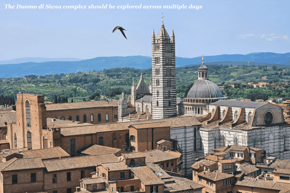 Bird flies above the Duomo di Siena complex in Italy - trip to Tuscany