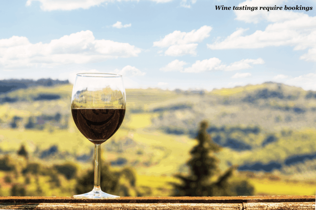 Glass of red wine against a backdrop of the Chianti countryside - trip to Tuscany