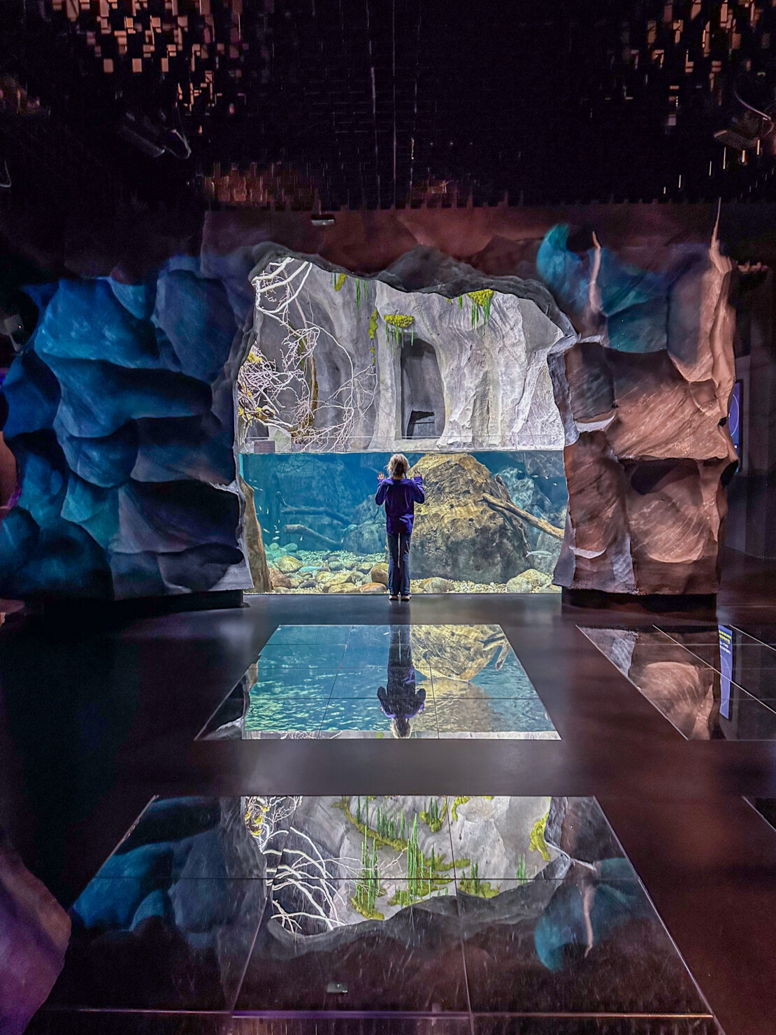 Girl inside Aquatis Aquarium in Lausanne Switzerland