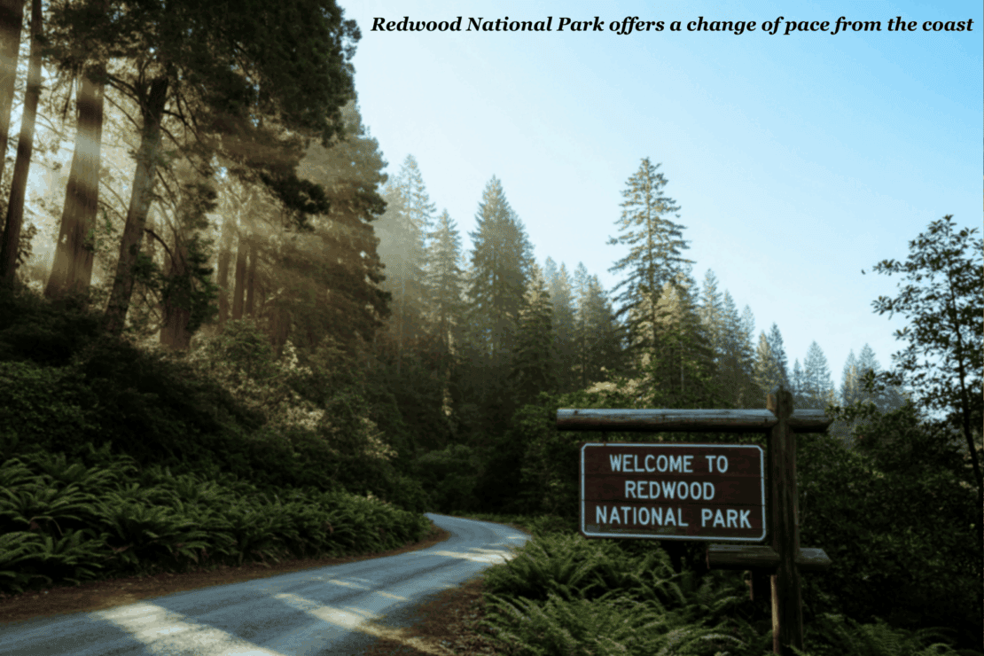 Entrance to Redwood National Park - best California road trips