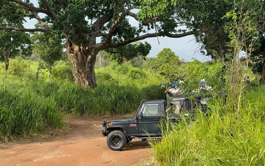Safari jeeped parked in the greenery in Sigiriya in Sri Lanka
