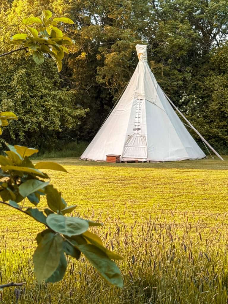 Tipi in Field white House Glamping Herefordshire England