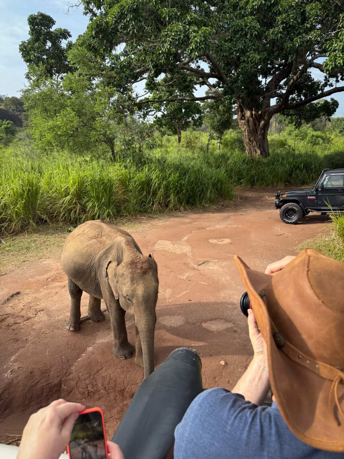 Man photographing a baby elephant on safari in Hurulu in Sri Lanka