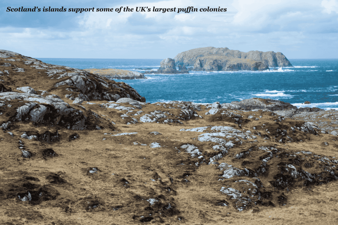 Rocky landscape in Scotland's Outer Hebrides