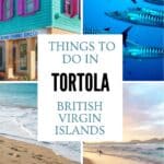 Collage of Tortola in the British Virgin Islands featuring colourful Caribbean buildings, tropical beaches, marine life and island sunsets