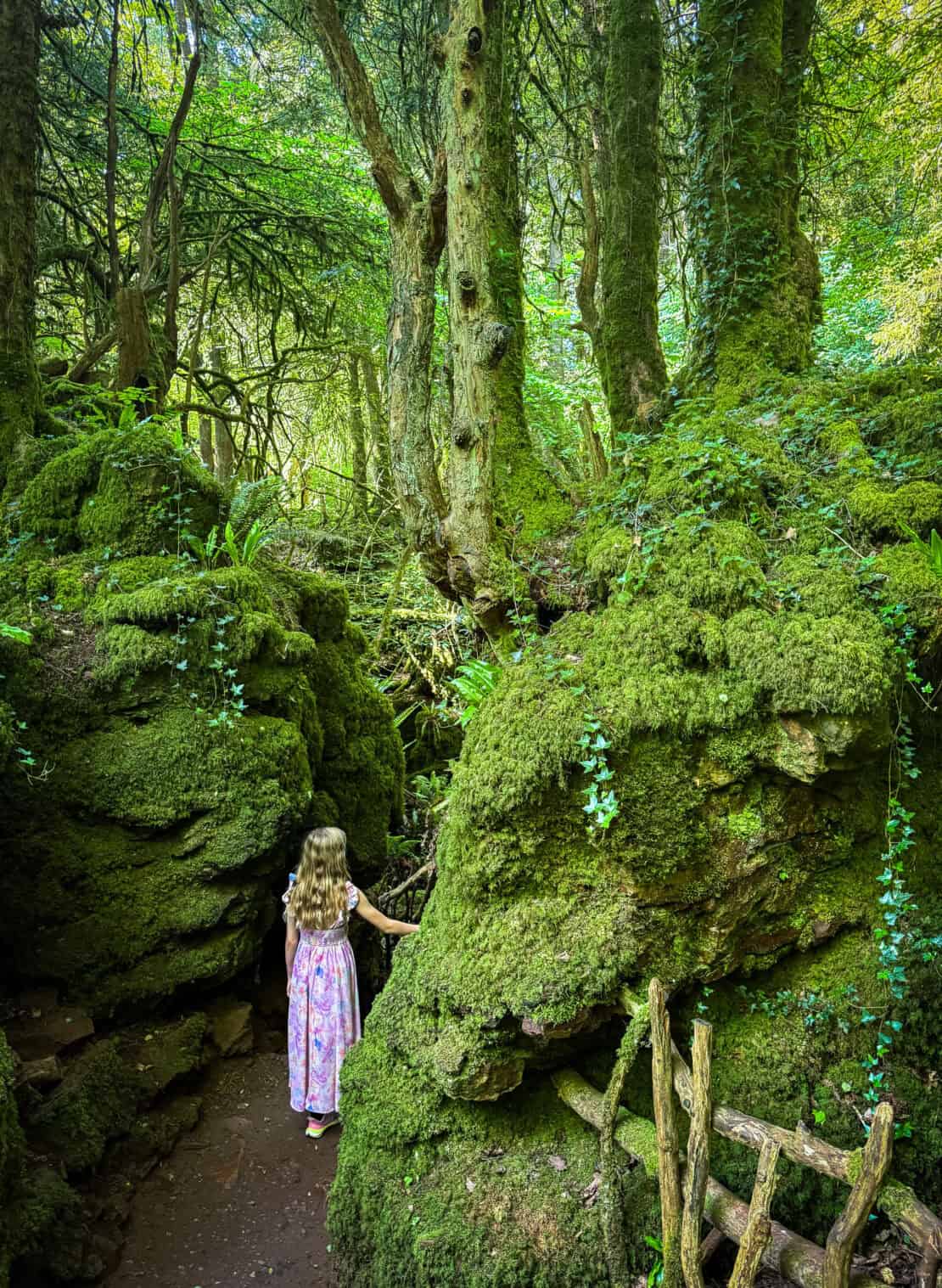 Girl in Puzzelwood in the Forest of Dean