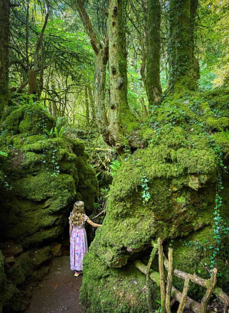 girl standing in Puzzlewood