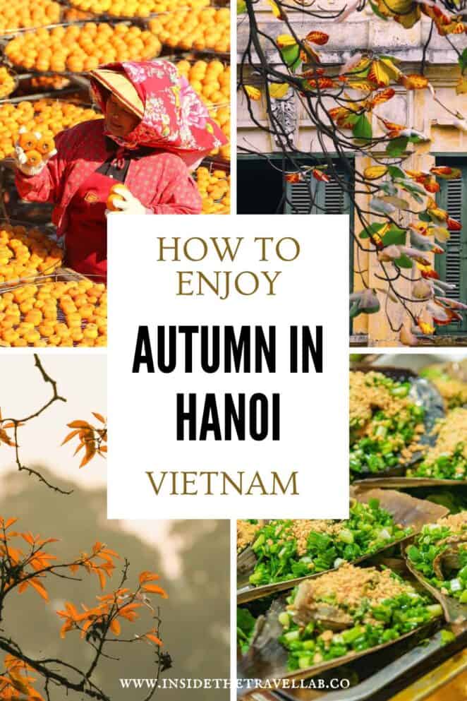 Collage of autumn in Hanoi featuring a street vendor with persimmons, golden autumn leaves and traditional Vietnamese food