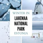 Collage of Lahemaa National Park in winter showing frozen sea ice, a snow-covered windmill, animal tracks in snow and a snowy landscape with swings