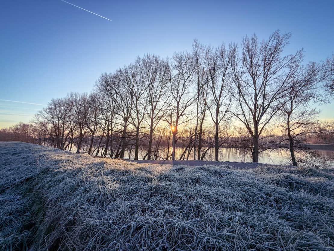 Frozen riverside scene Loire Valley France
