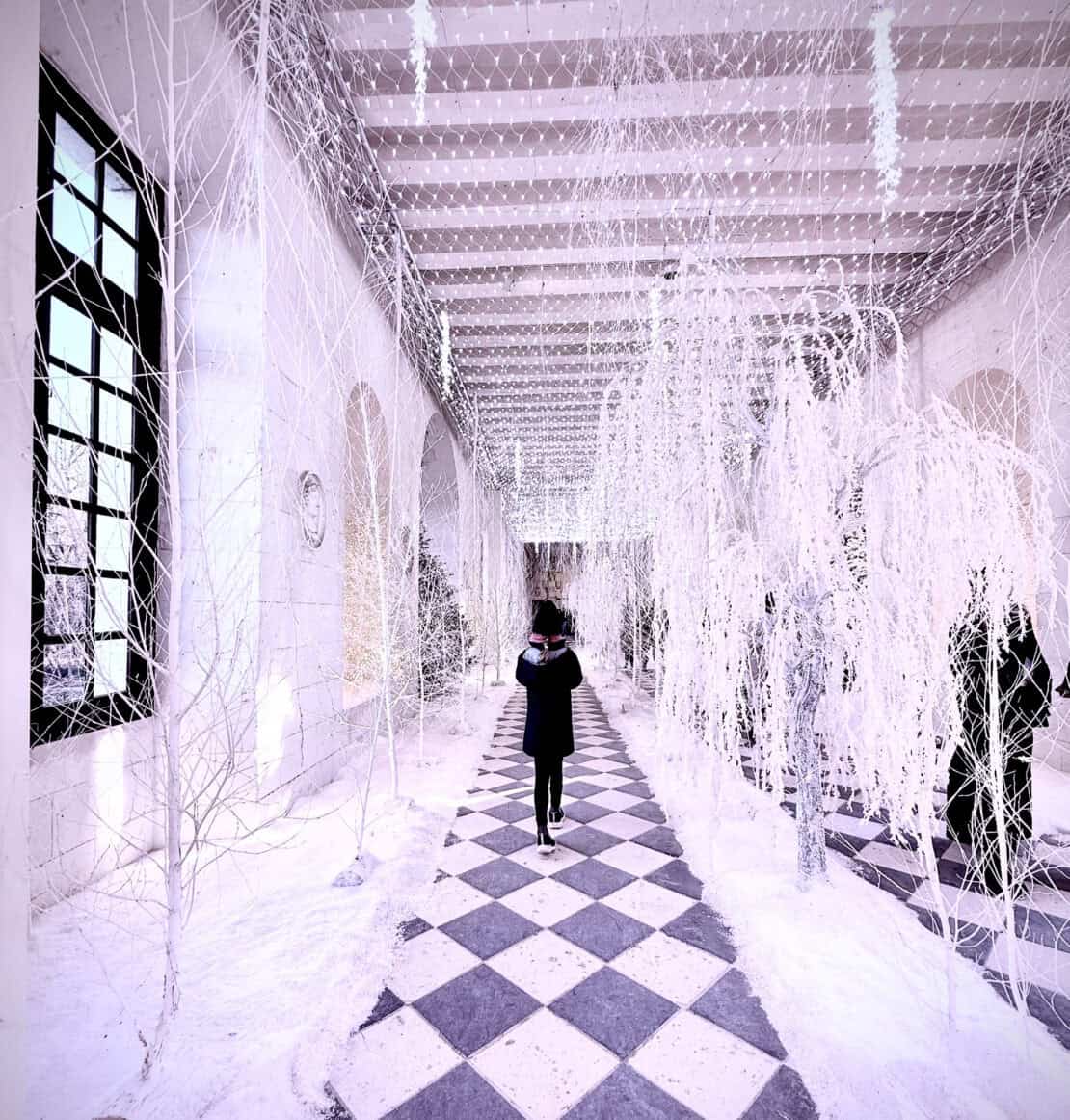 Inside Chateau Chenonceau Loire France