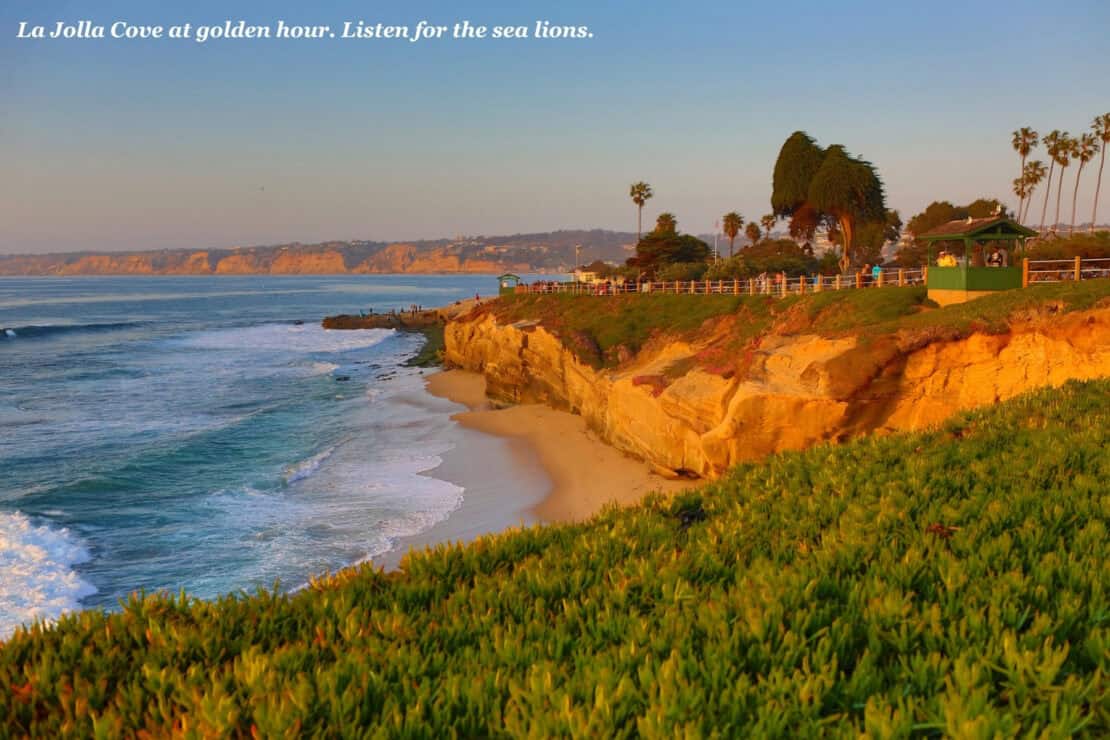 Sandstone cliffs glowing gold at sunset above a small sandy beach at La Jolla Cove, San Diego, with waves rolling in and palm trees along the clifftop path